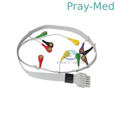 comprar Ligação 10 do cabo TLC5000 2.8m de CONTEC Holter ECG para TLC5000 Dyniaic Fabricação em linha